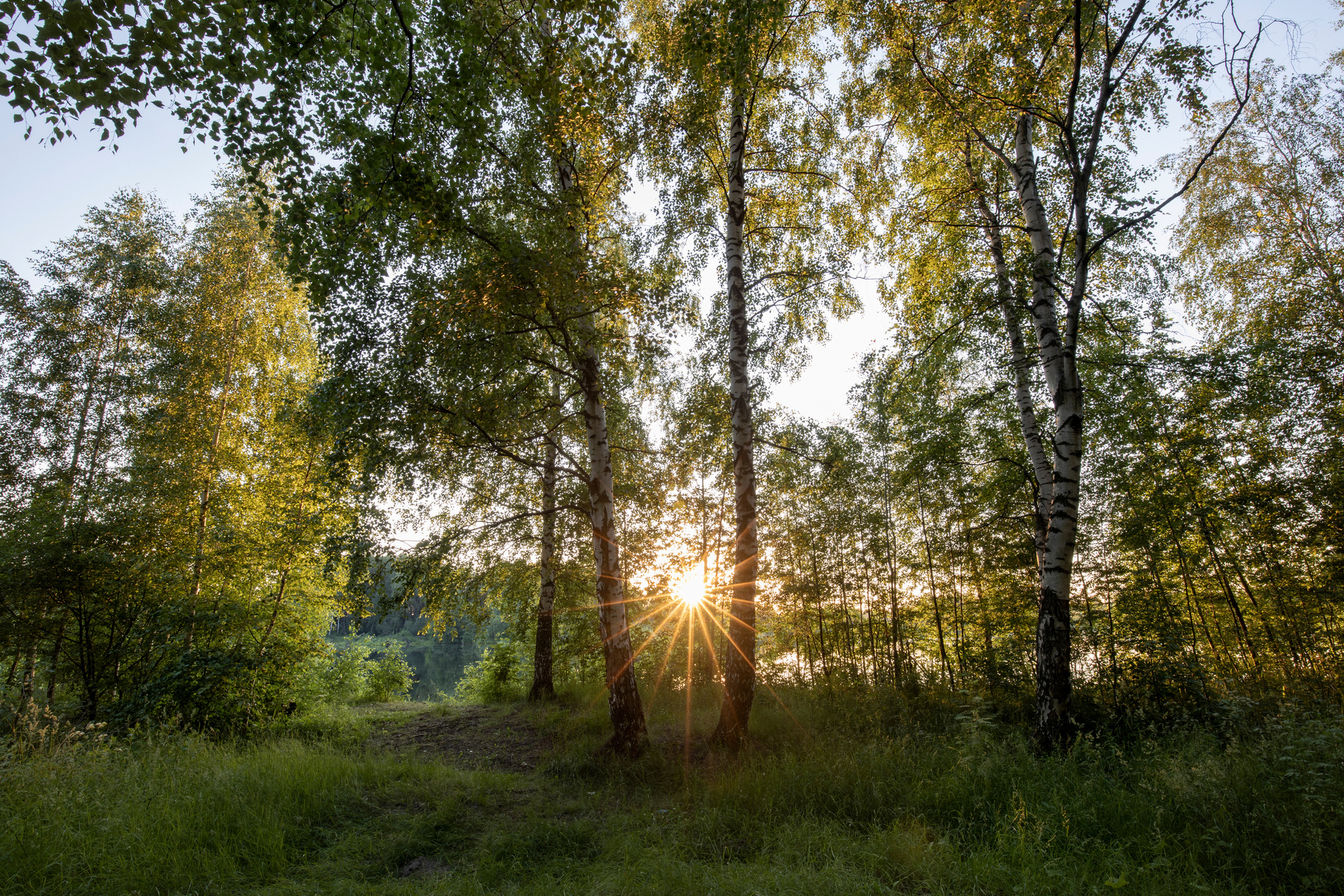 Закат Закат Ярославль лес солнце