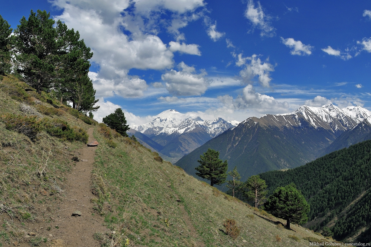 Прогулка с видом на Эльбрус Кавказ горы Эльбрус