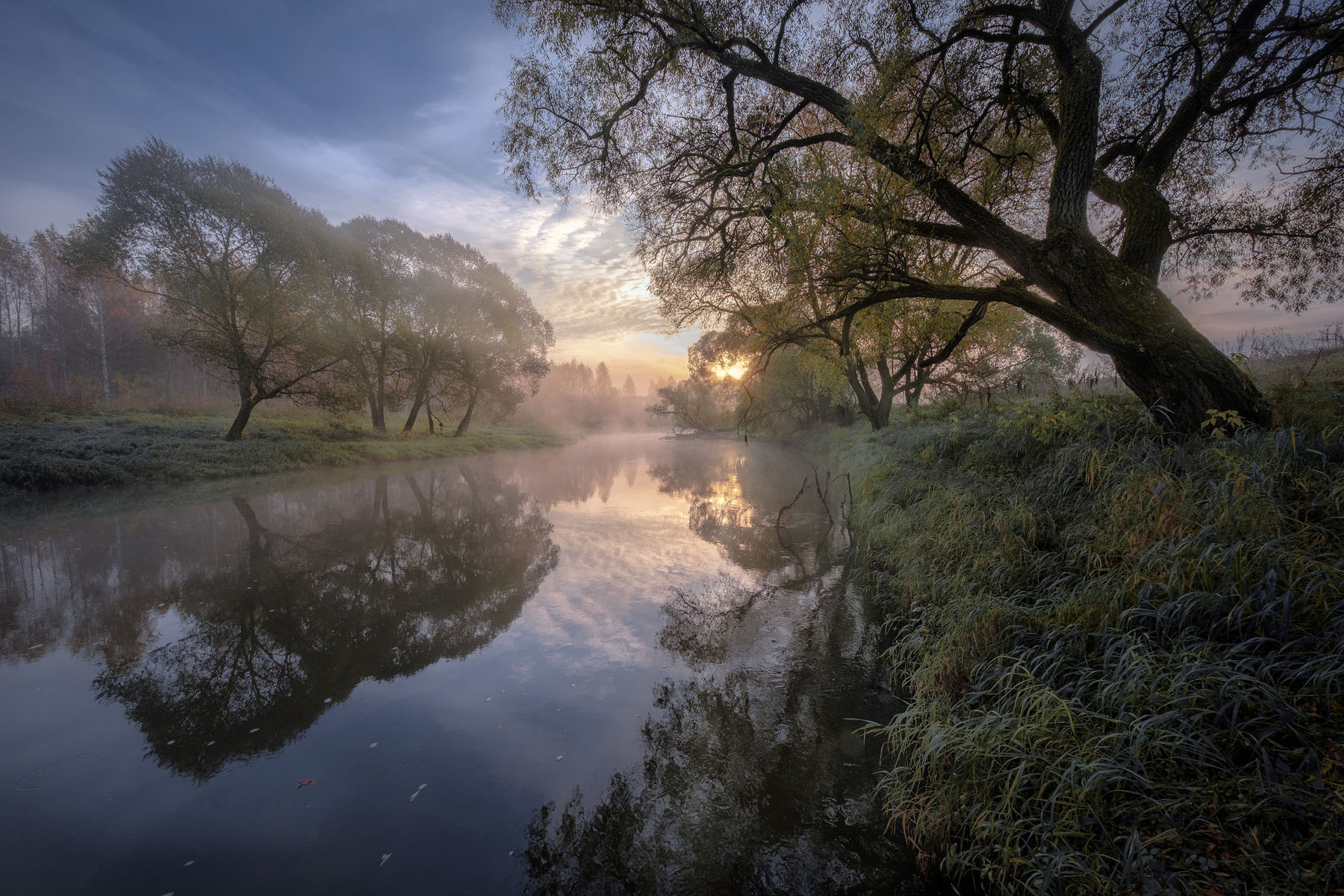 Склоненные истра река утро рассвет деревья пейзаж природа осень октябрь