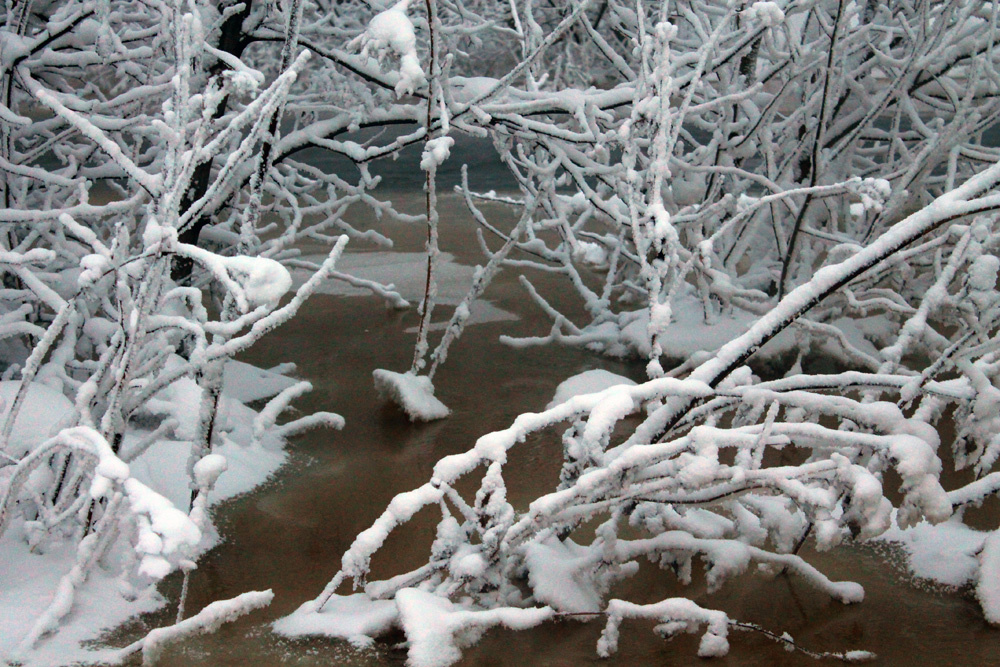 Мороз начудил Зима снег деревья река