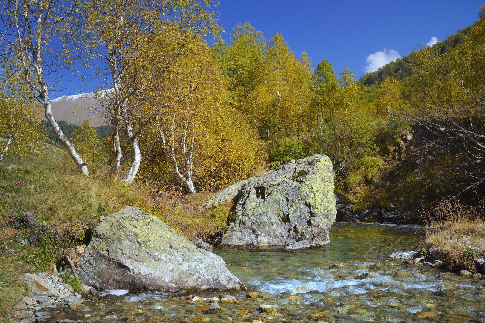 Осенний Архыз горы осень ручей береза