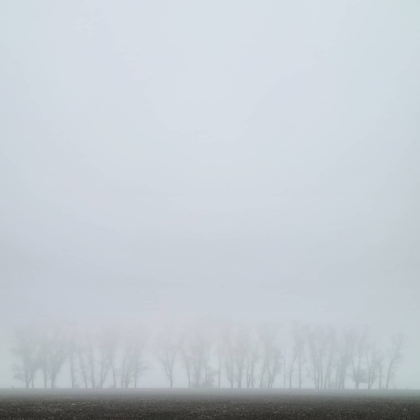 Туман 
