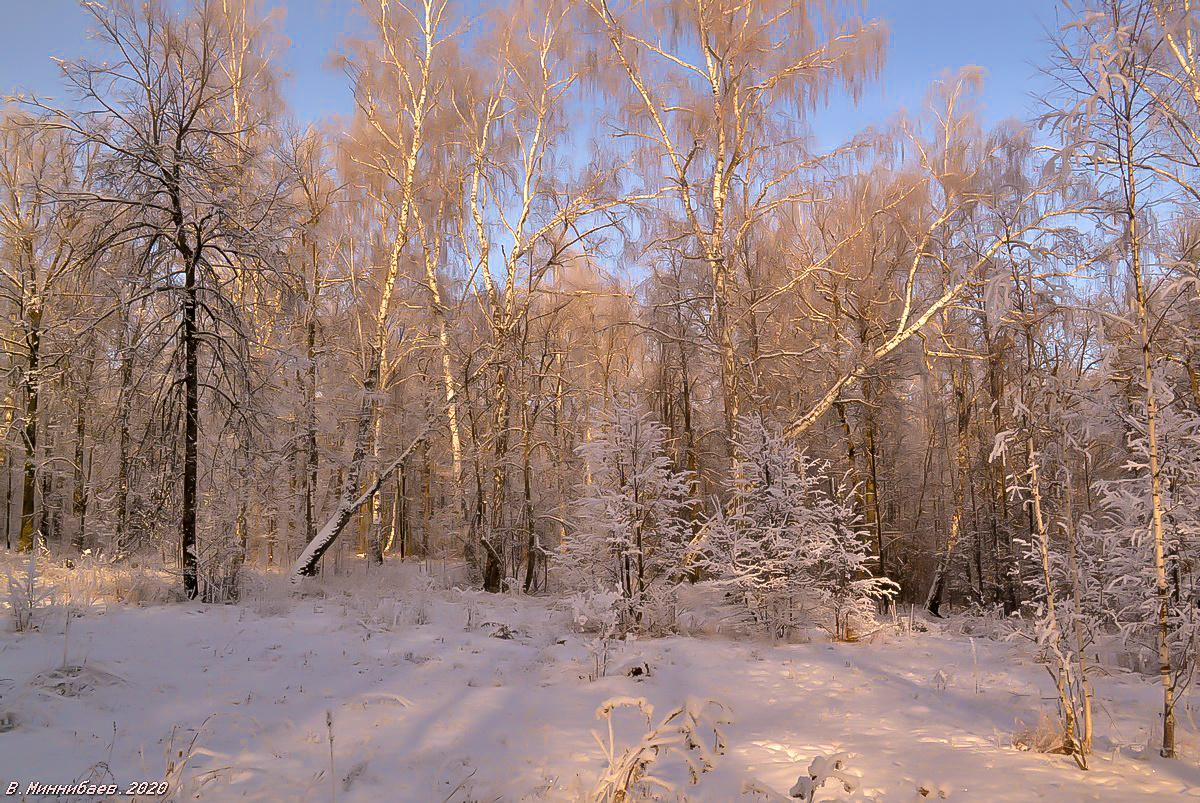 Зима на опушке... пейзаж природа зима лес
