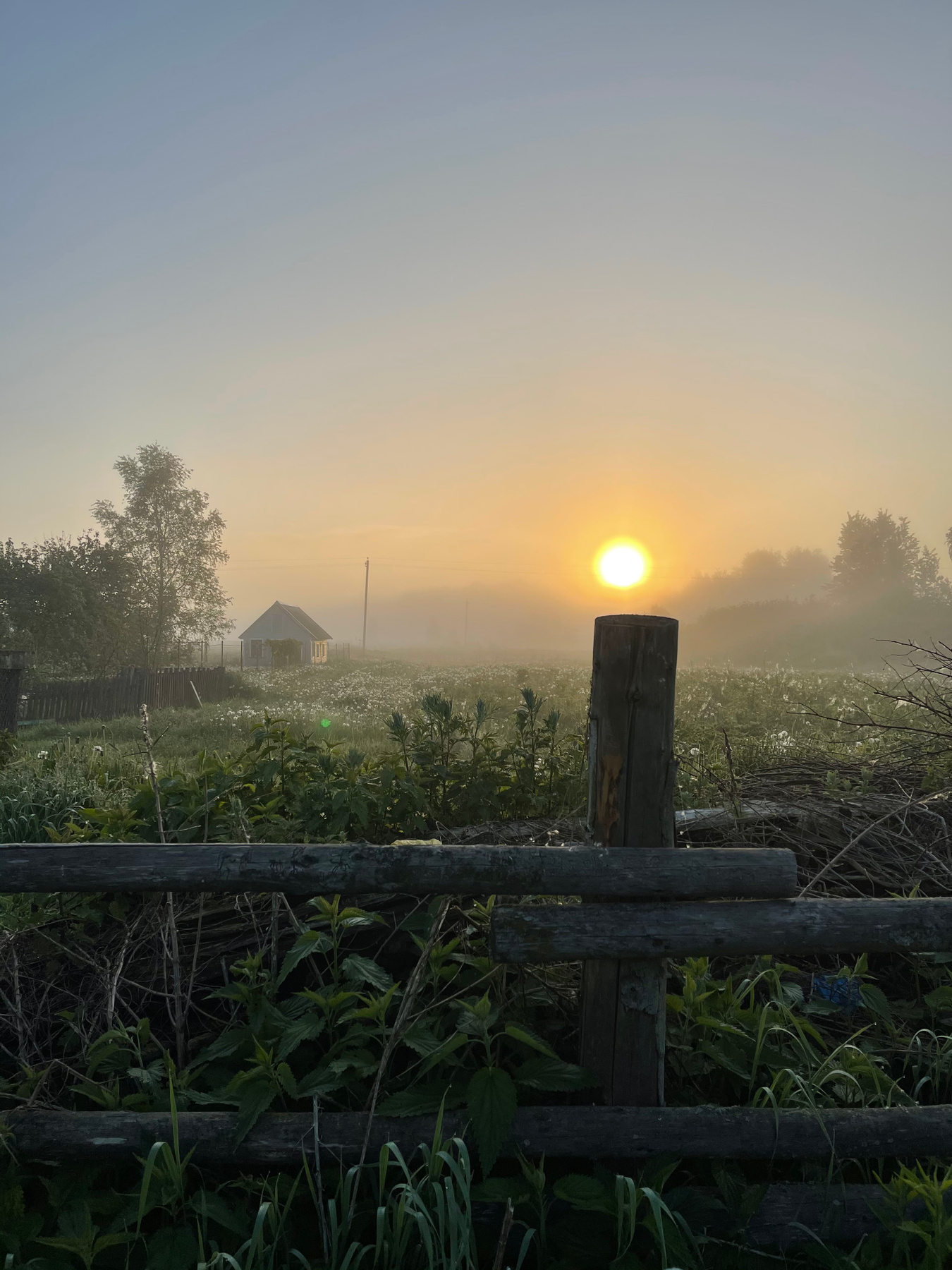 Утро в деревне калужскаяобласть юхновскийрайон