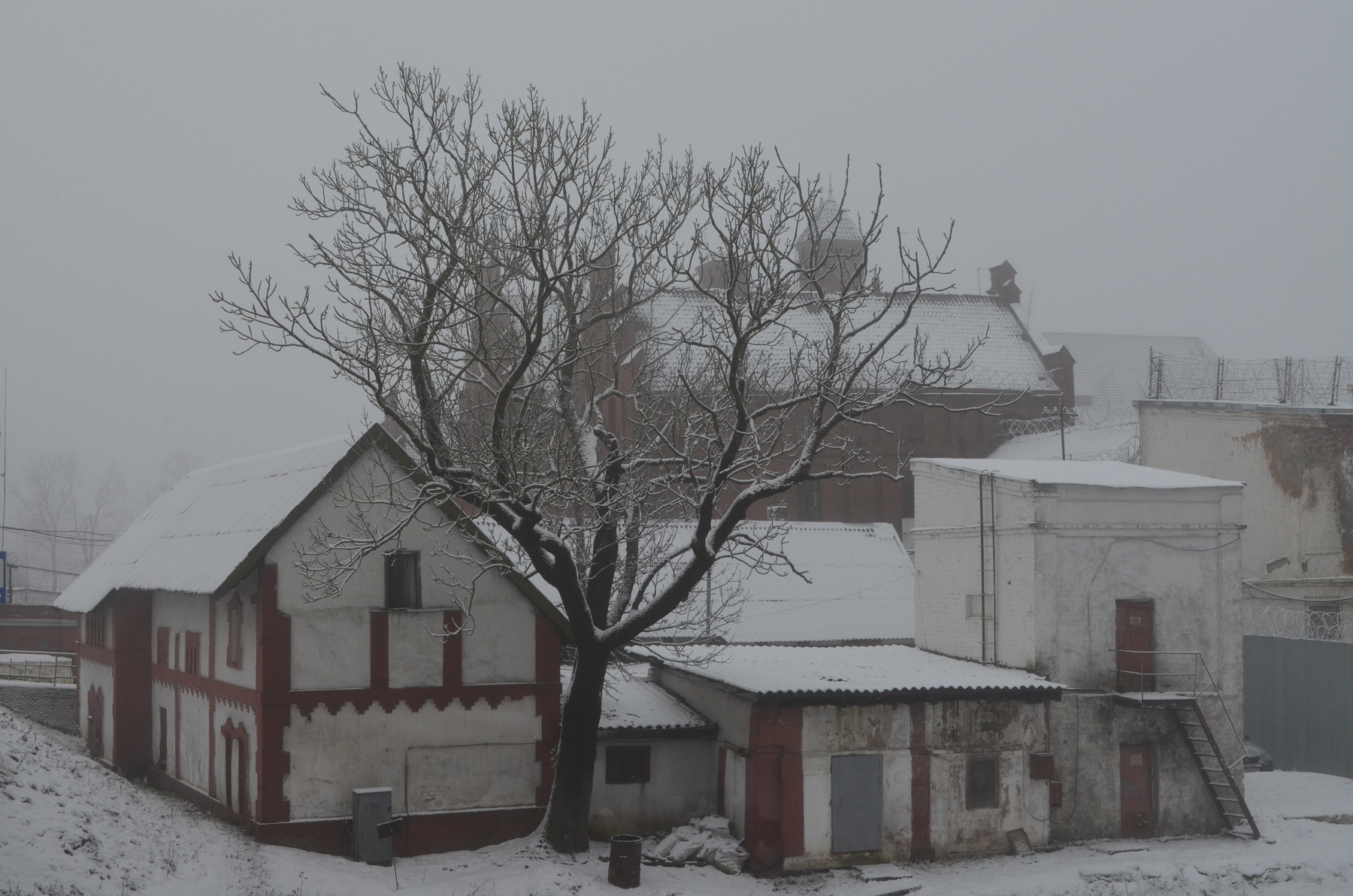 Зима в Тапиау Тапиау Гвардейск зима пейзаж Калининградская область