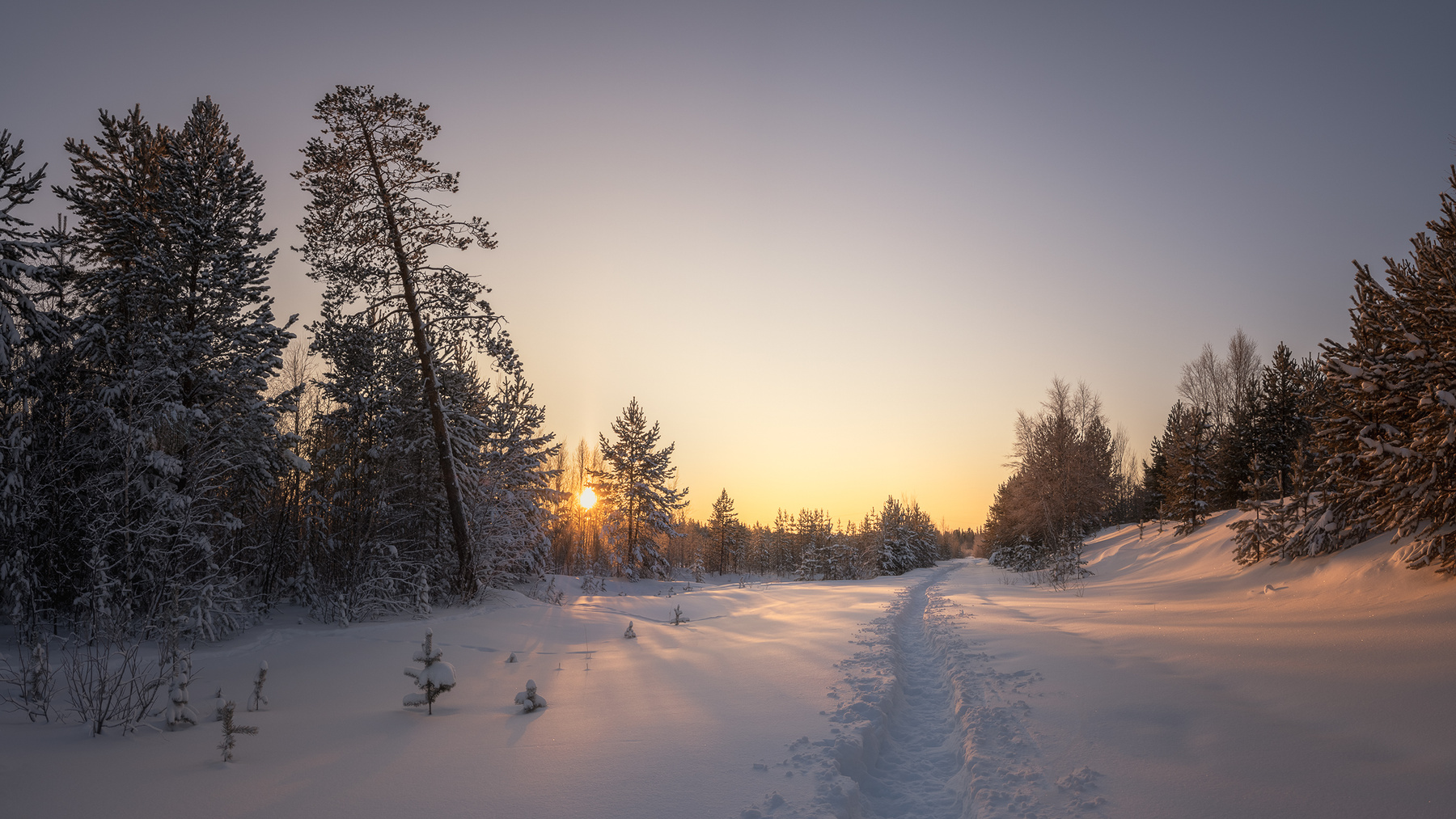 Ямальскими тропами Россия ЯНАО Ямал Ноябрьск зима снег холод мороз природа пейзаж солнце закат