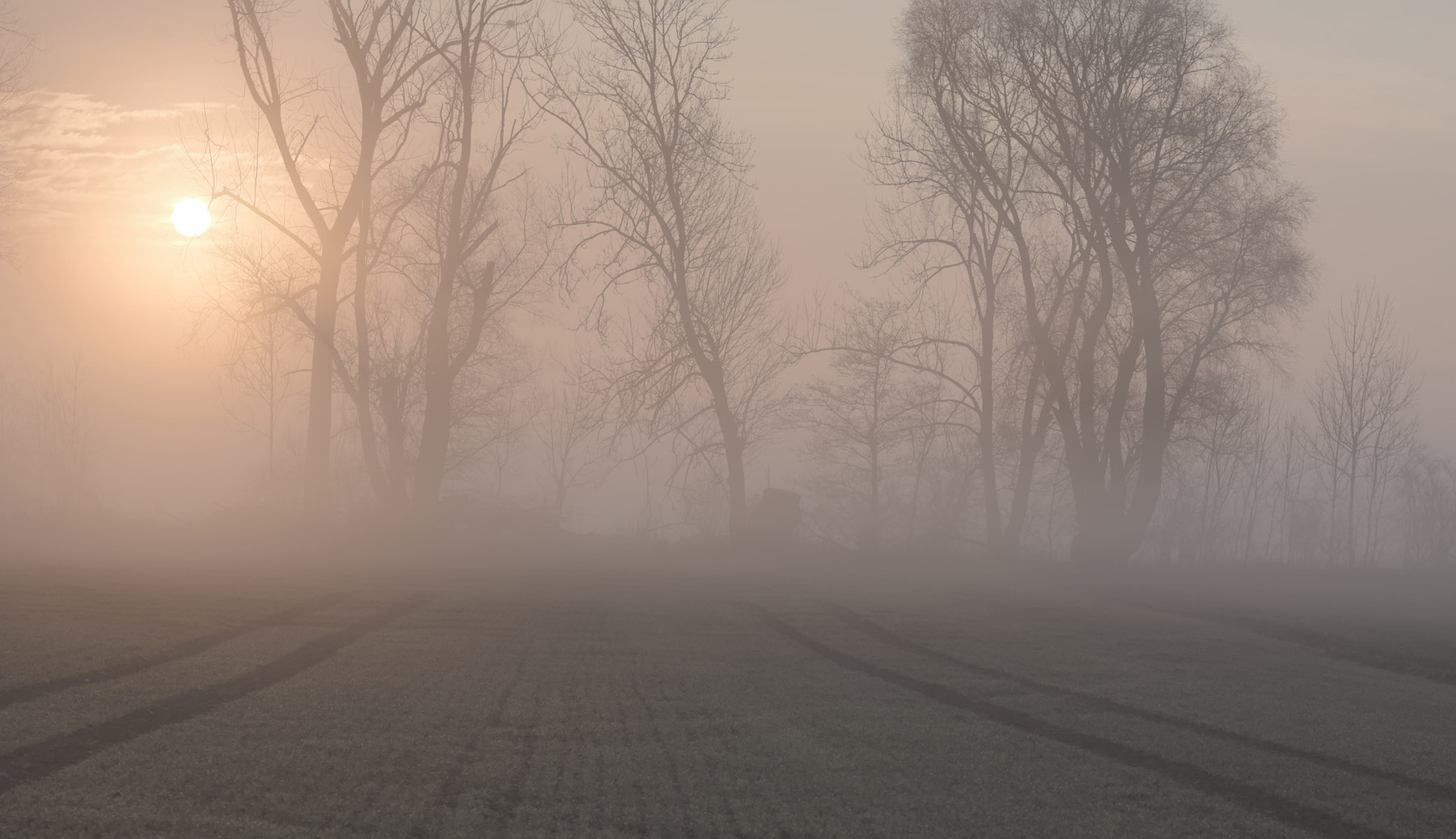 Утро марта утро туман солнце деревья