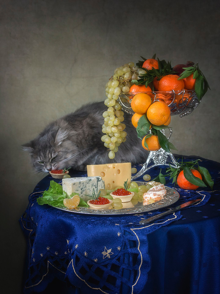 ***Вот такой у нас райдер! домашние животные художественное фото питомцы кошка Масяня постановочное натюрморт еда фрукты деликатесы