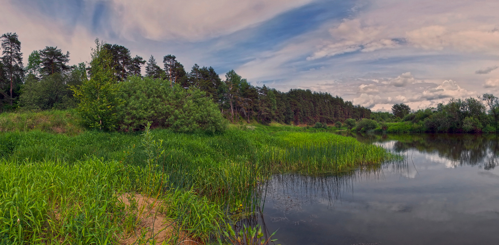 Июнь на реке лето река яркие краски Тверская область панорама