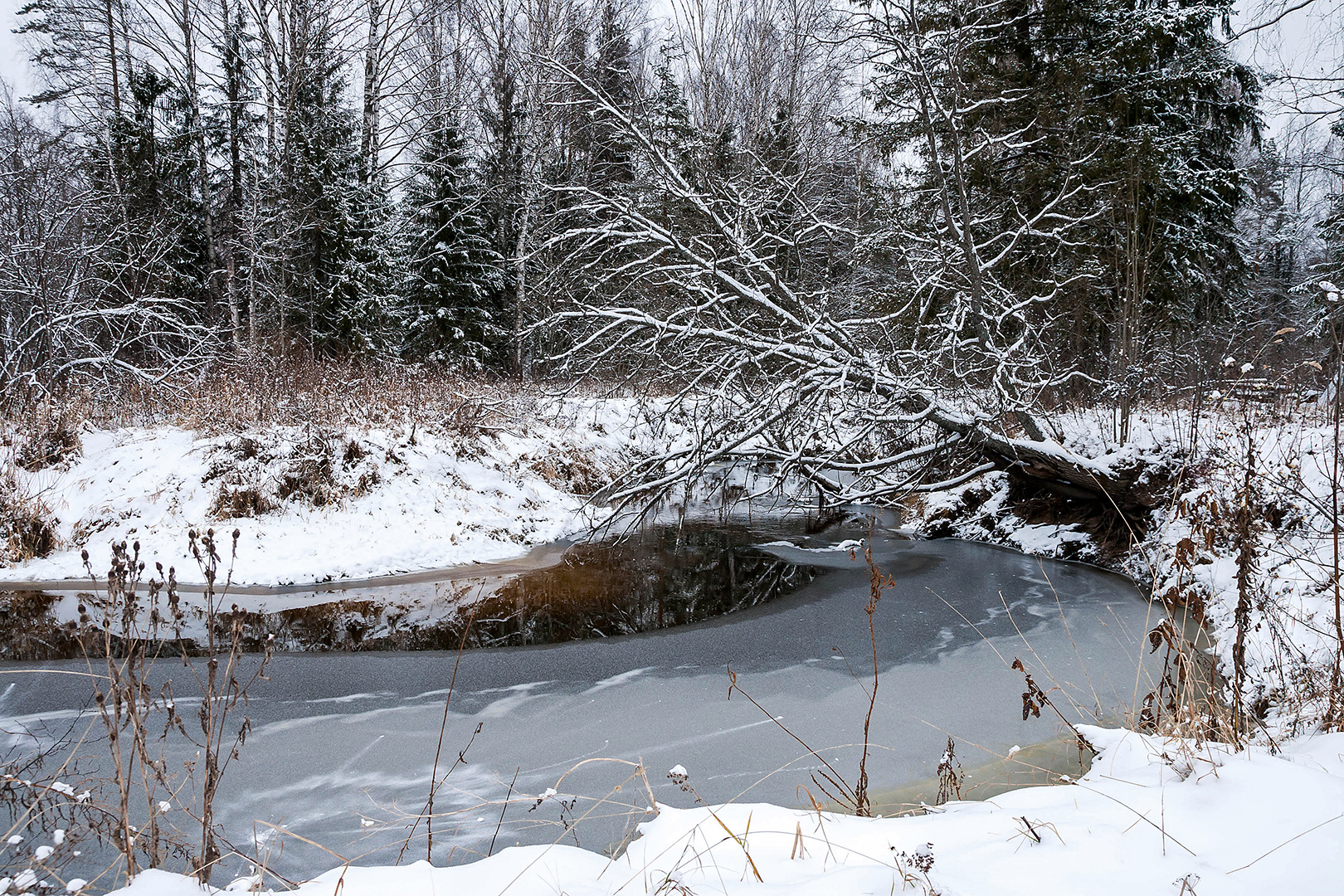 Зима начиналась... Зима река снег лед деревья декабрь пейзаж мороз