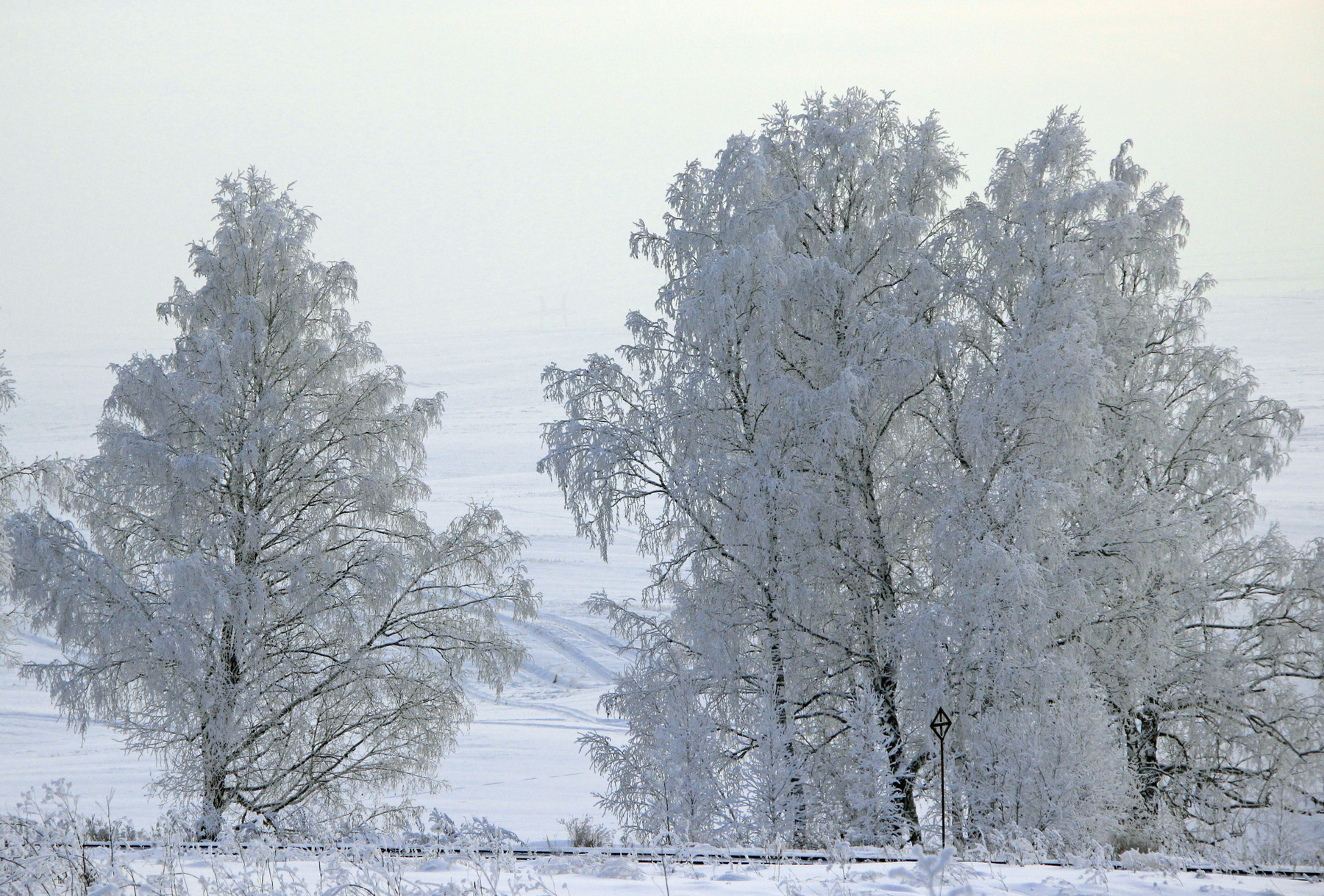 На краю Сибирь зима иней дорога серебро снег деревья