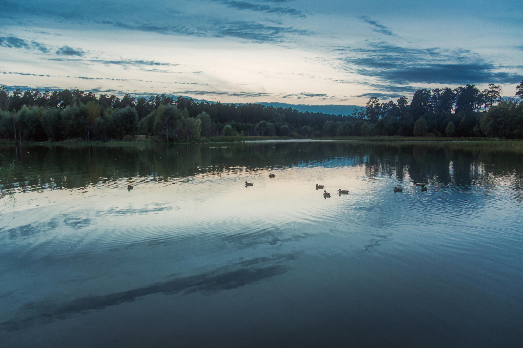 Сумерки на озере природа пейзаж вечер сумерки татарстан озеро малое лебяжье