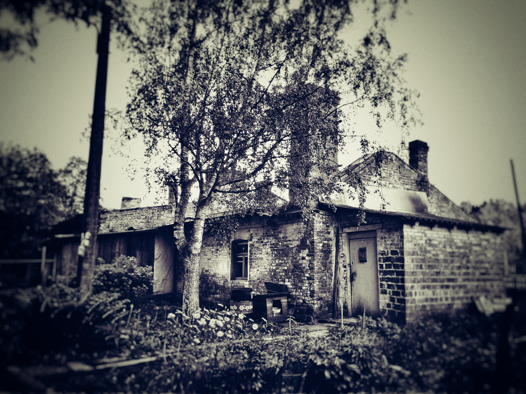 Старый дом в Ломоносове Старый дом развалины