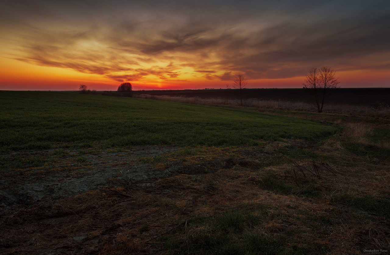 *** пейзаж.природа поле закат небо солнце рассвет украина
