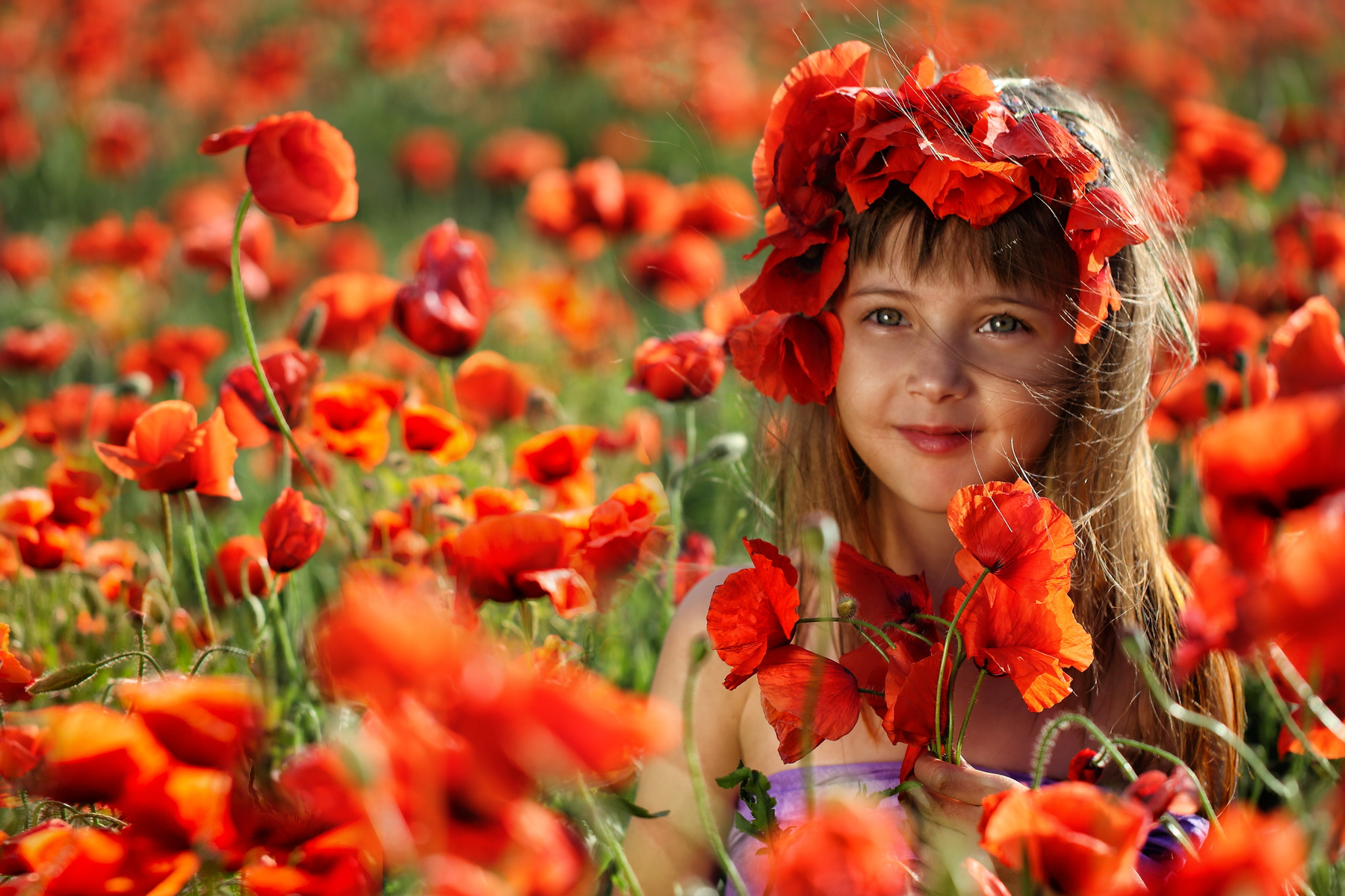 Маковки маки девочка поле цветы