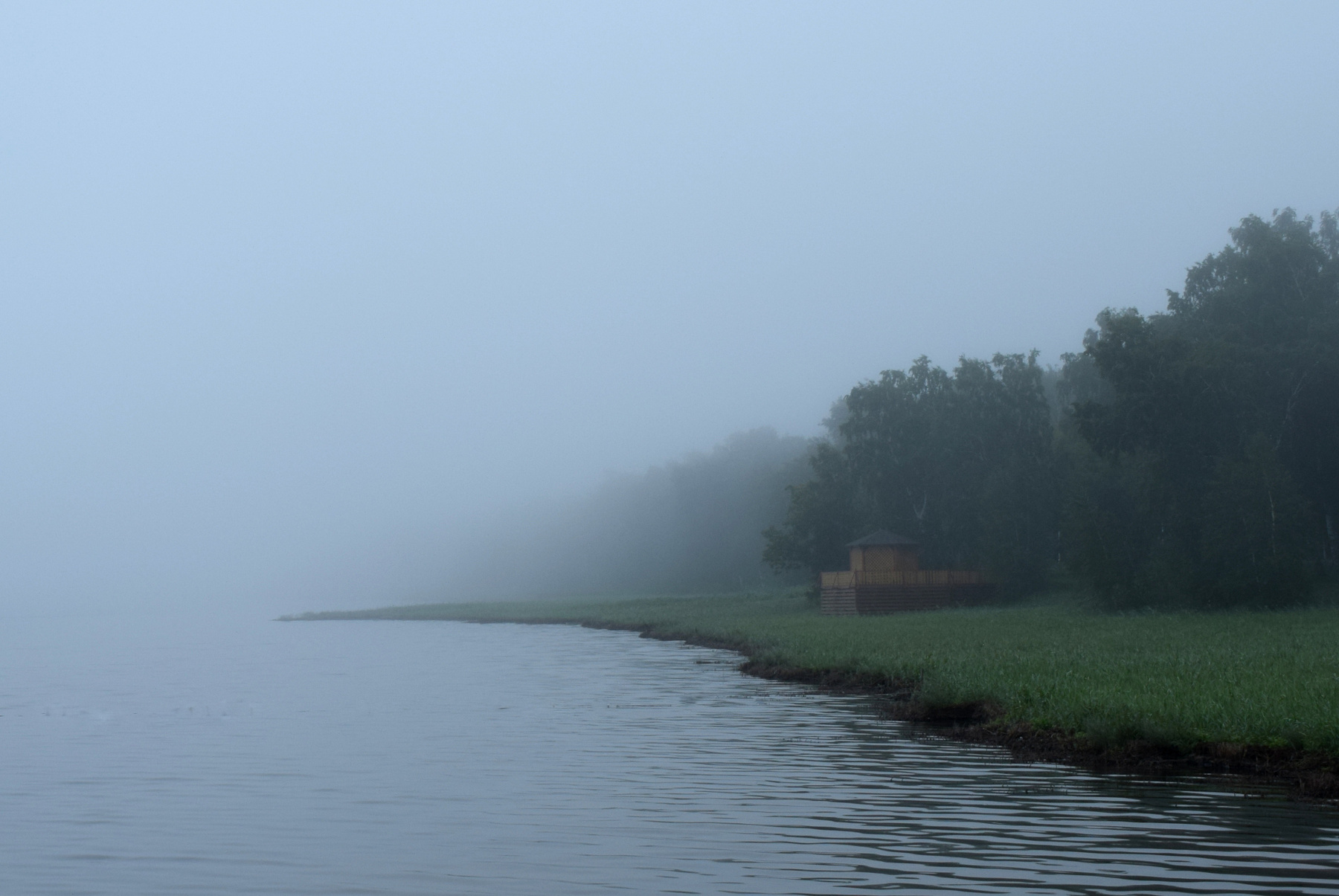 Туманное утро. летний пейзаж туман озеро