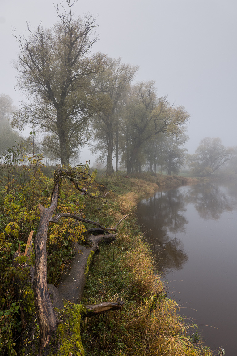 Октябрь. Утро. Продолжение утро туман река октябрь осень