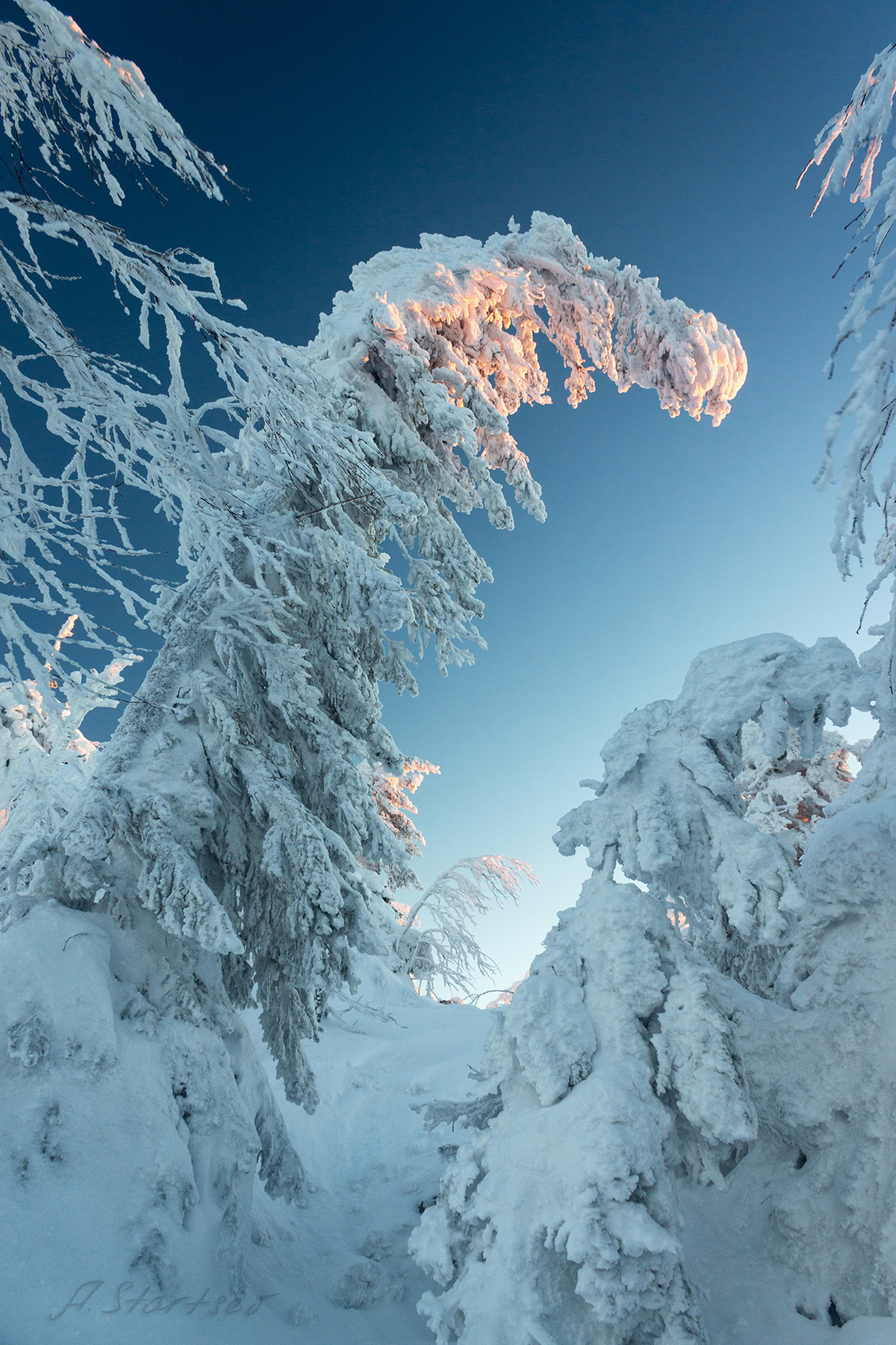 Поклон утро Урал туризм снег рассвет природа Пермский_край пейзаж зима гора дерево