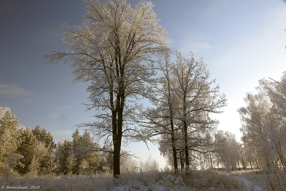 Просто зима пейзаж природа зима лес