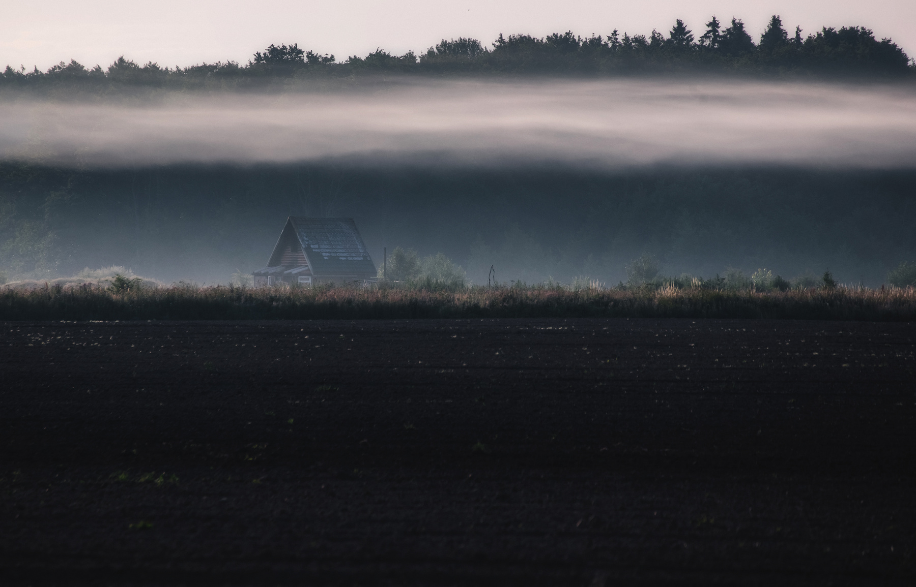 Под туманным одеялом Природа пейзаж туман дом