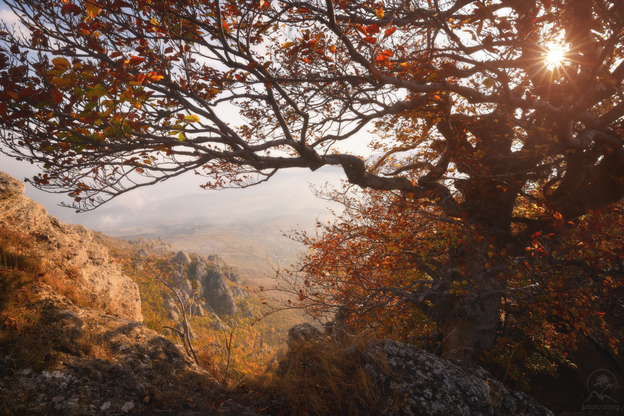 "Осеннее окно" Крым осень горы демерджи