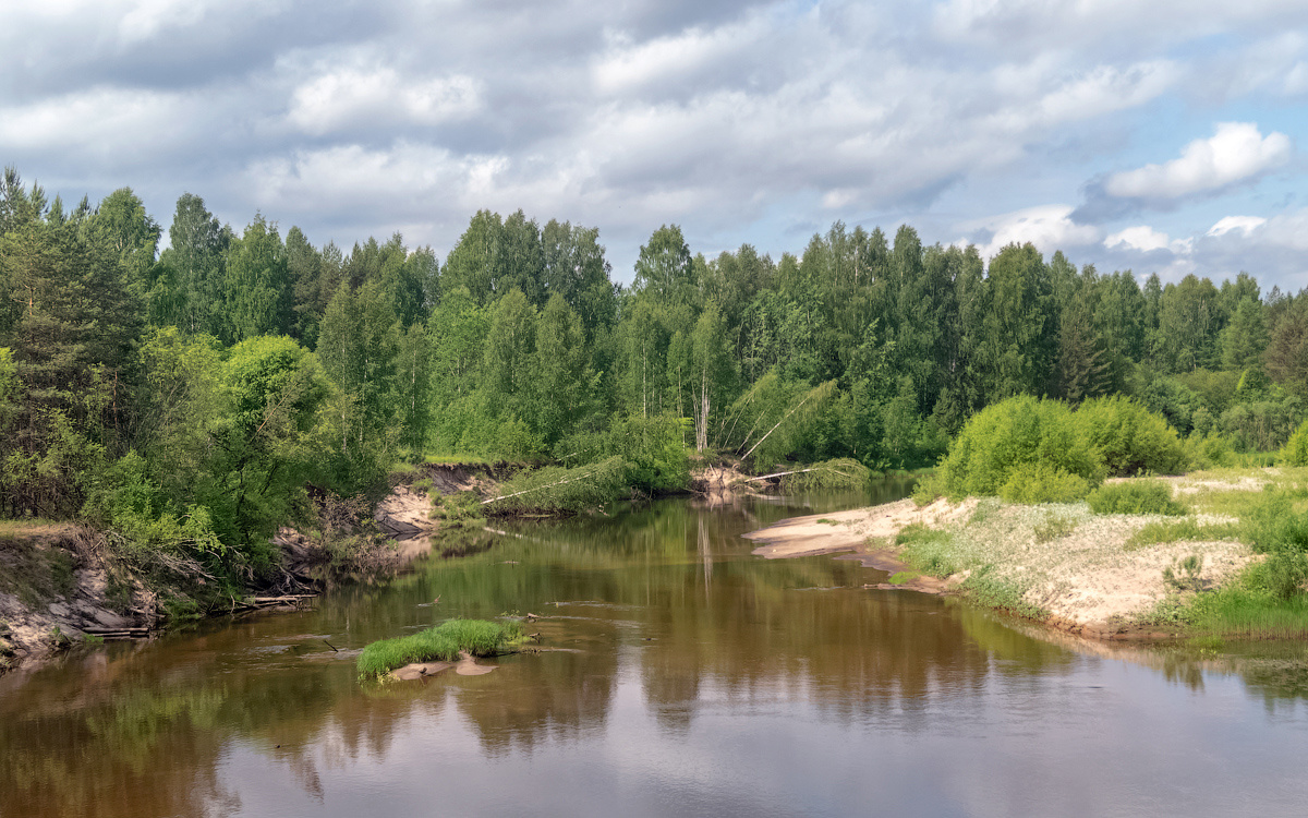 река Нельша нельша река вода лето природа пейзаж нея кострома вид