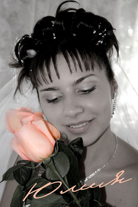 Розовые розы Невеста, свадьба, розы