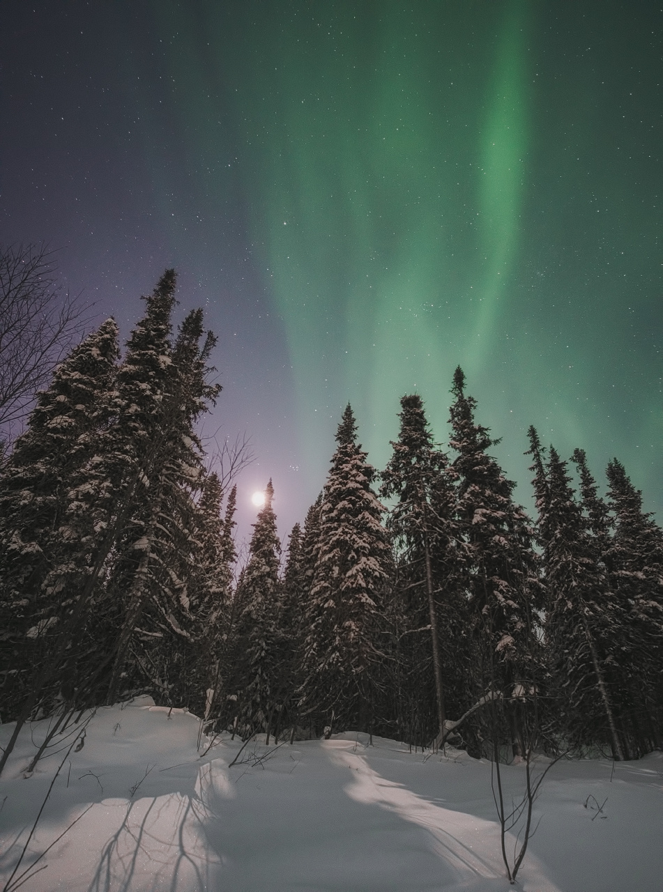 Ночной свет Печора Коми Север Северное сияние Aurora