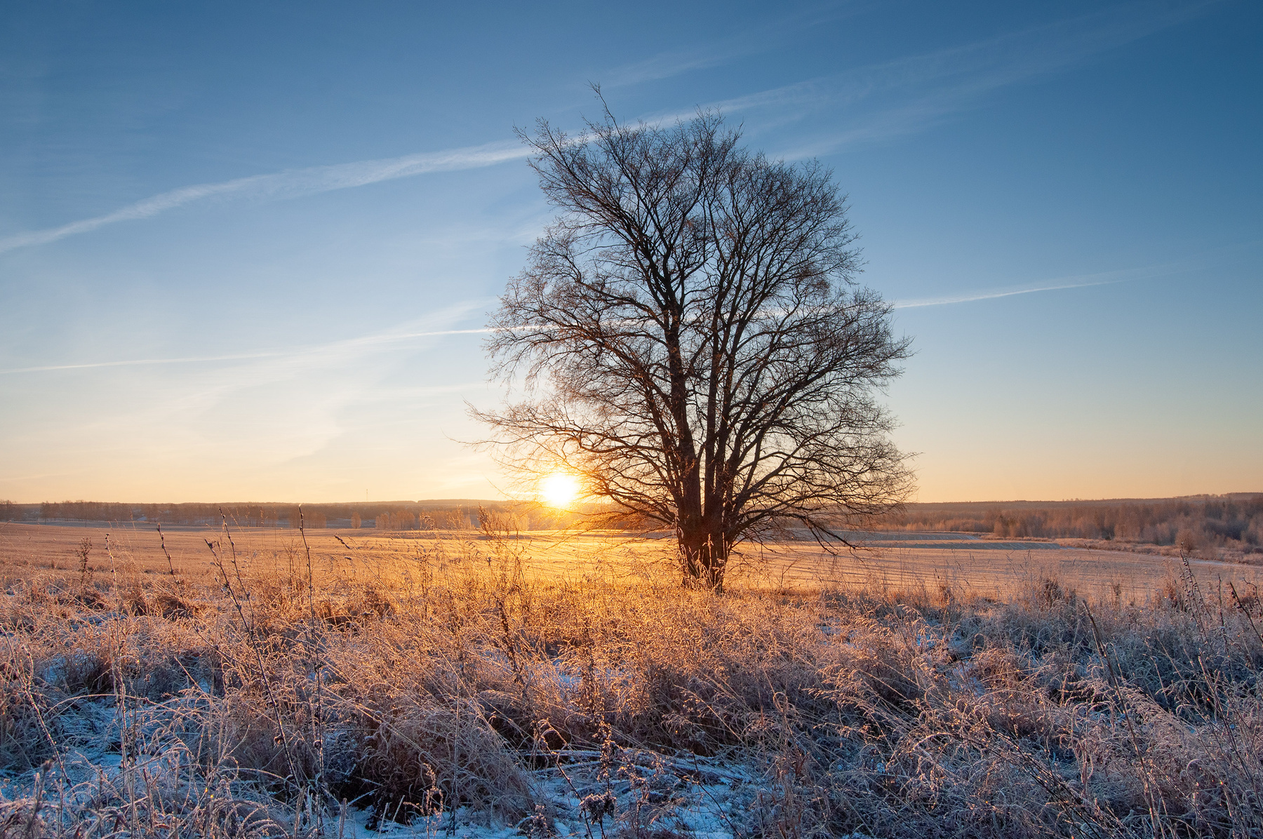 *** зима утро рассвет поле снег солнце дерево