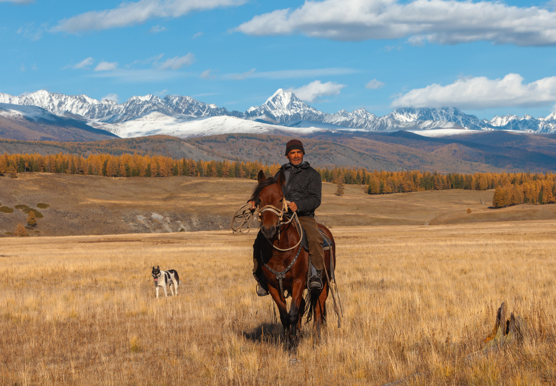Алтайский всадник Алтай республика горный горы лошадь всадник