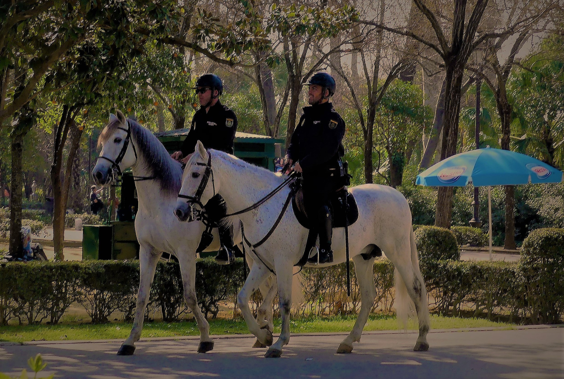 Надёжная охрана Парк конная полиция