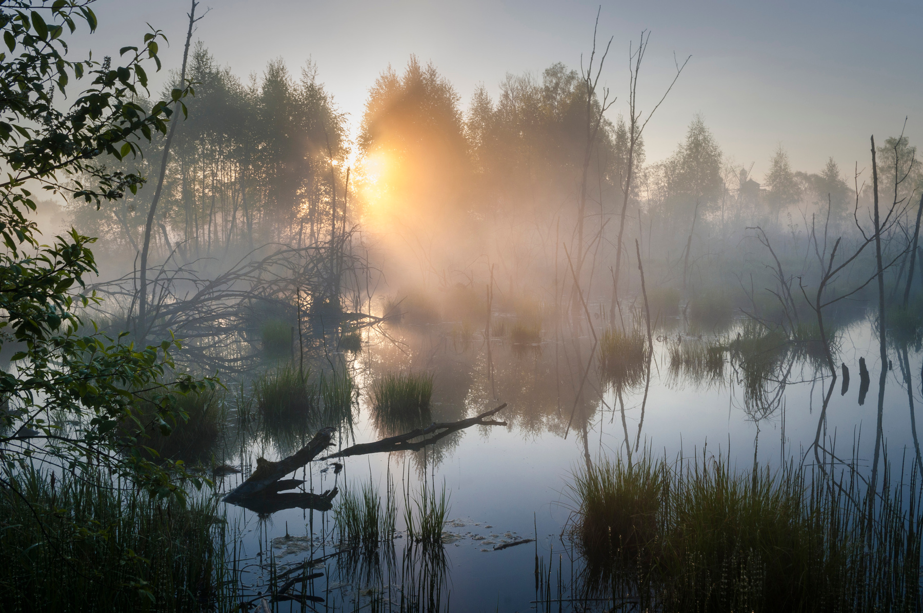 В царстве Водяного рассвет пейзаж туман утро лето