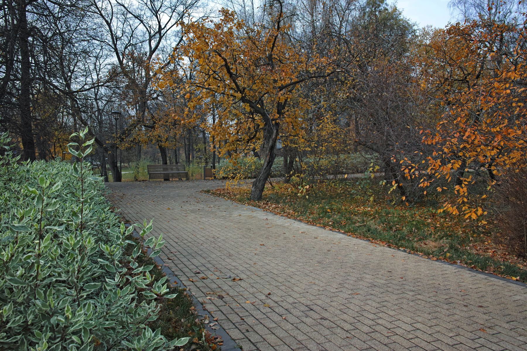 Сад будущего город Москва парк Сад будущего
