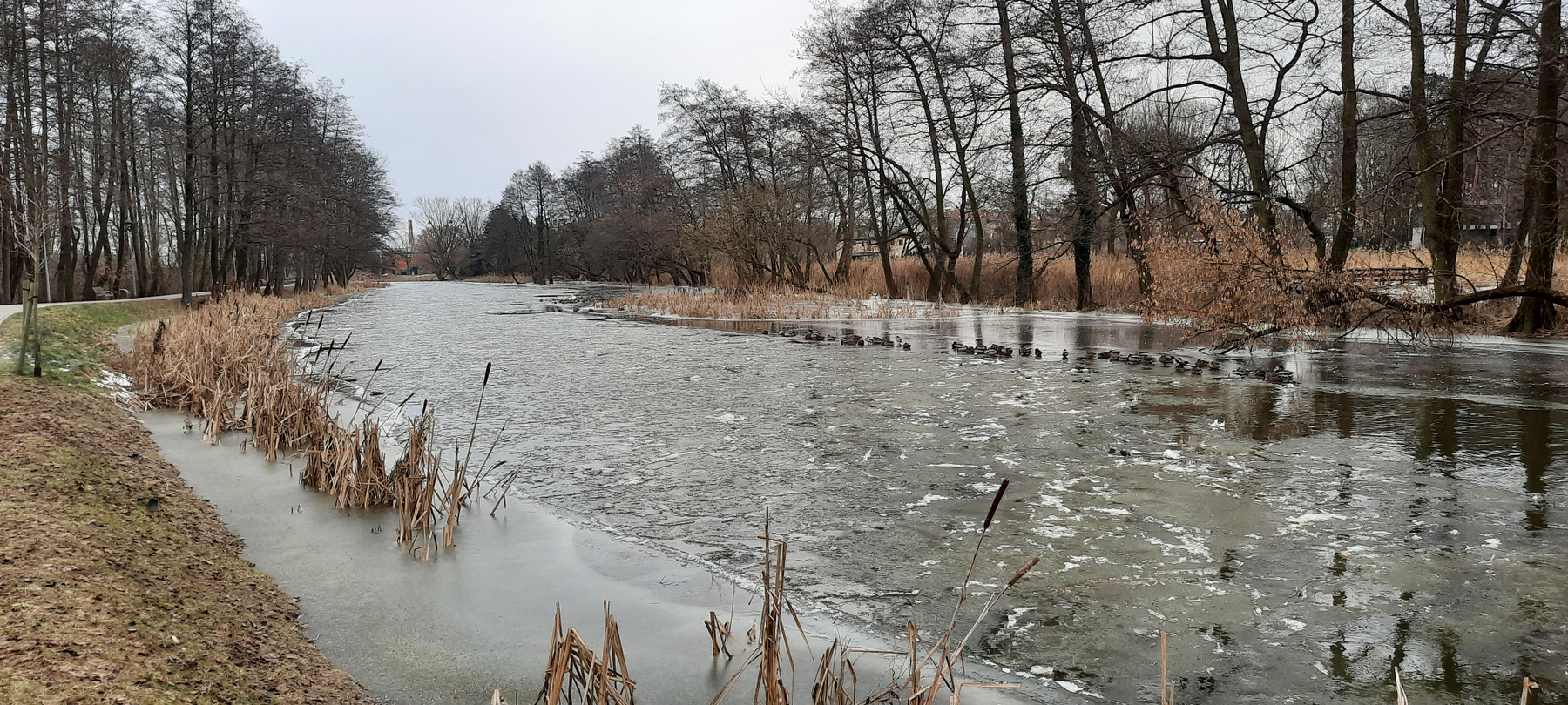 Река зимой Река зима Польша