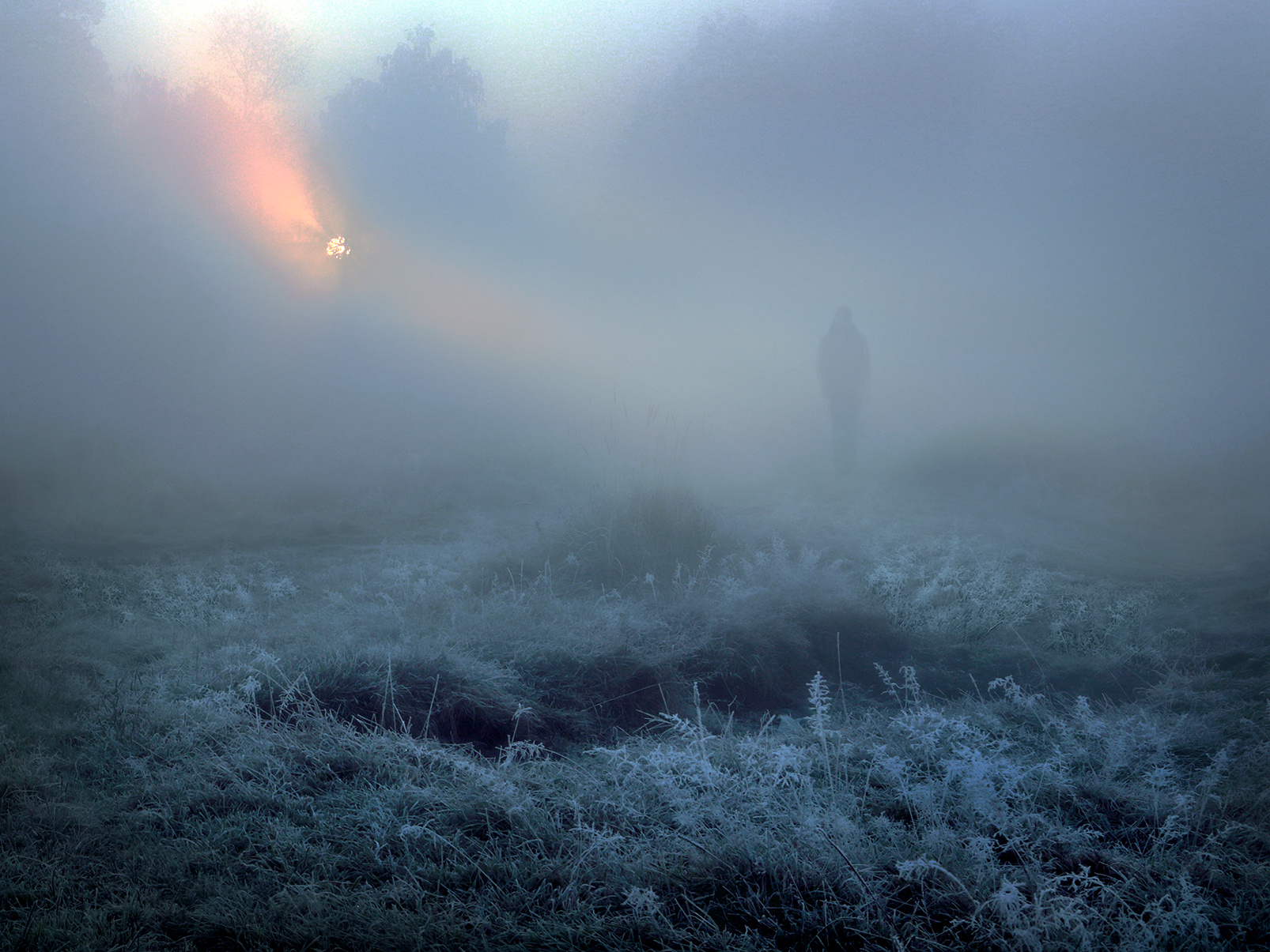 Одинокий силуэт в тумане... природа свет солнце туман рассвет утро образ