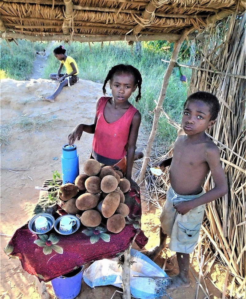 Дети Мадагаскара. 