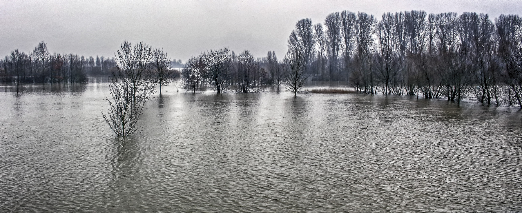 Большая вода на Рейне 