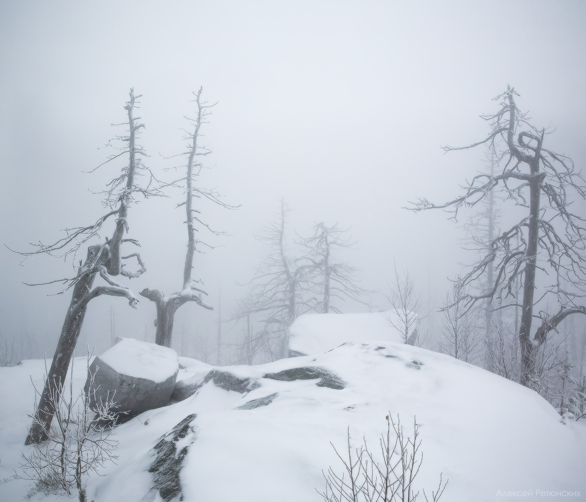 Сны Воттоваары Карелия Воттоваара осень снег туман деревья гора камни