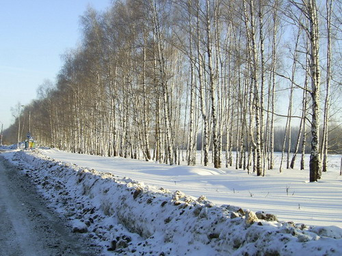 вдоль дороги 