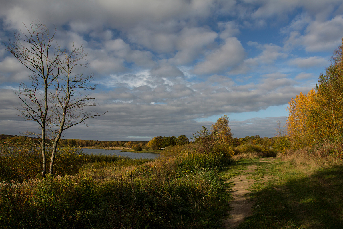 Осеннее озеро Пейзаж озеро деревья облака осень