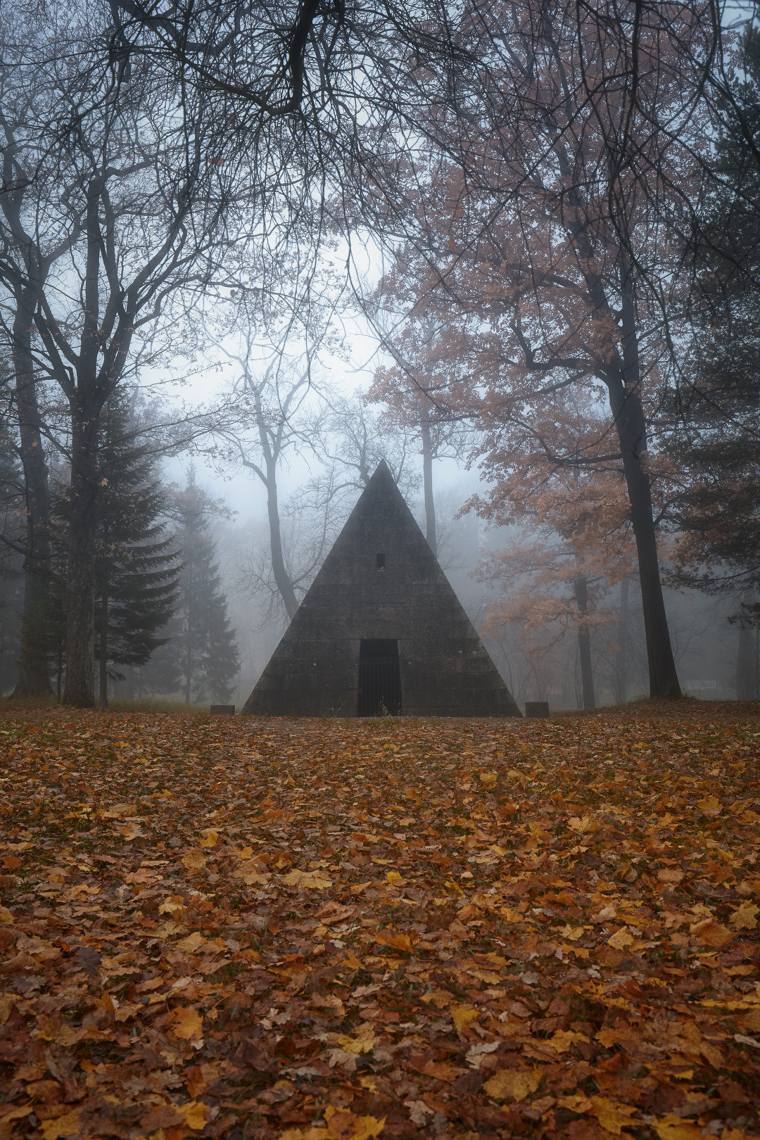 Пирамида пушкин царское село туман осень листопад утро октябрь пирамида екатерининский парк