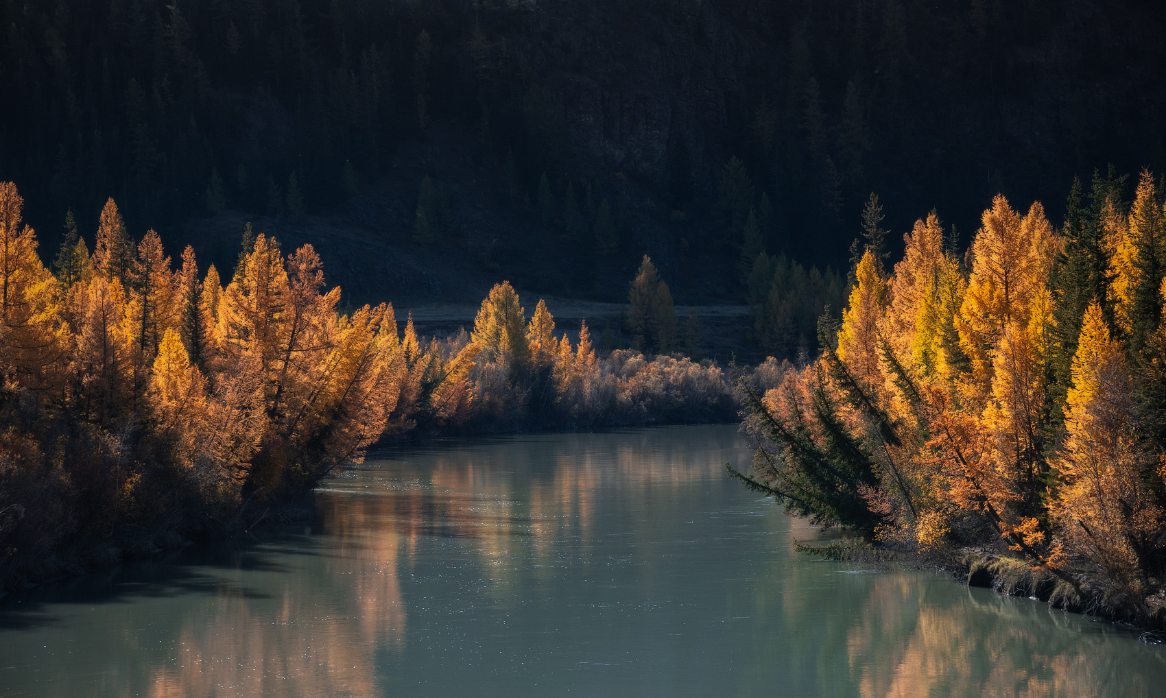 Осенний менуэт алтай горы река чуя бирюза осень кош-агачский район лиственницы сентябрь золотая