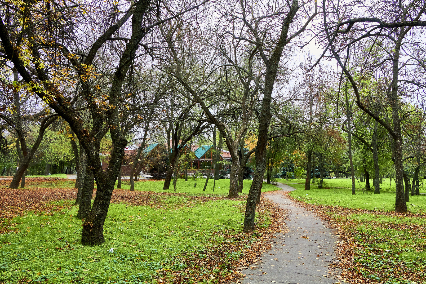 Осенний парк в Херсоне осень парк природа листья херсон