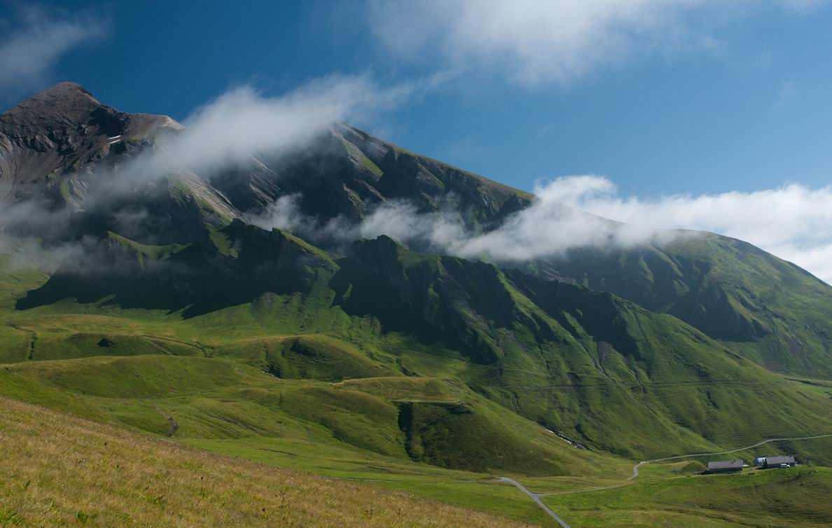 Intoxicatingly verdant mountain landscape Switzerland Grindelwald