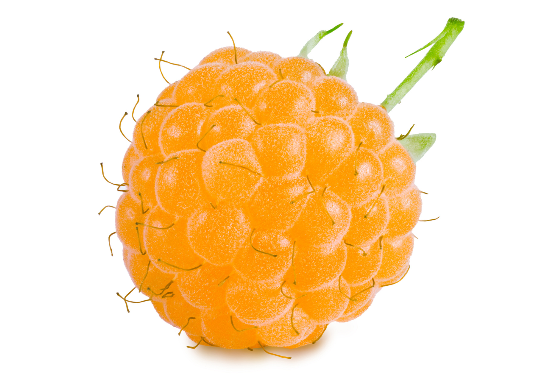 Улыбнитесь, скоро лето (короновирус должен погибнуть) Желтая малина Yellow raspberries