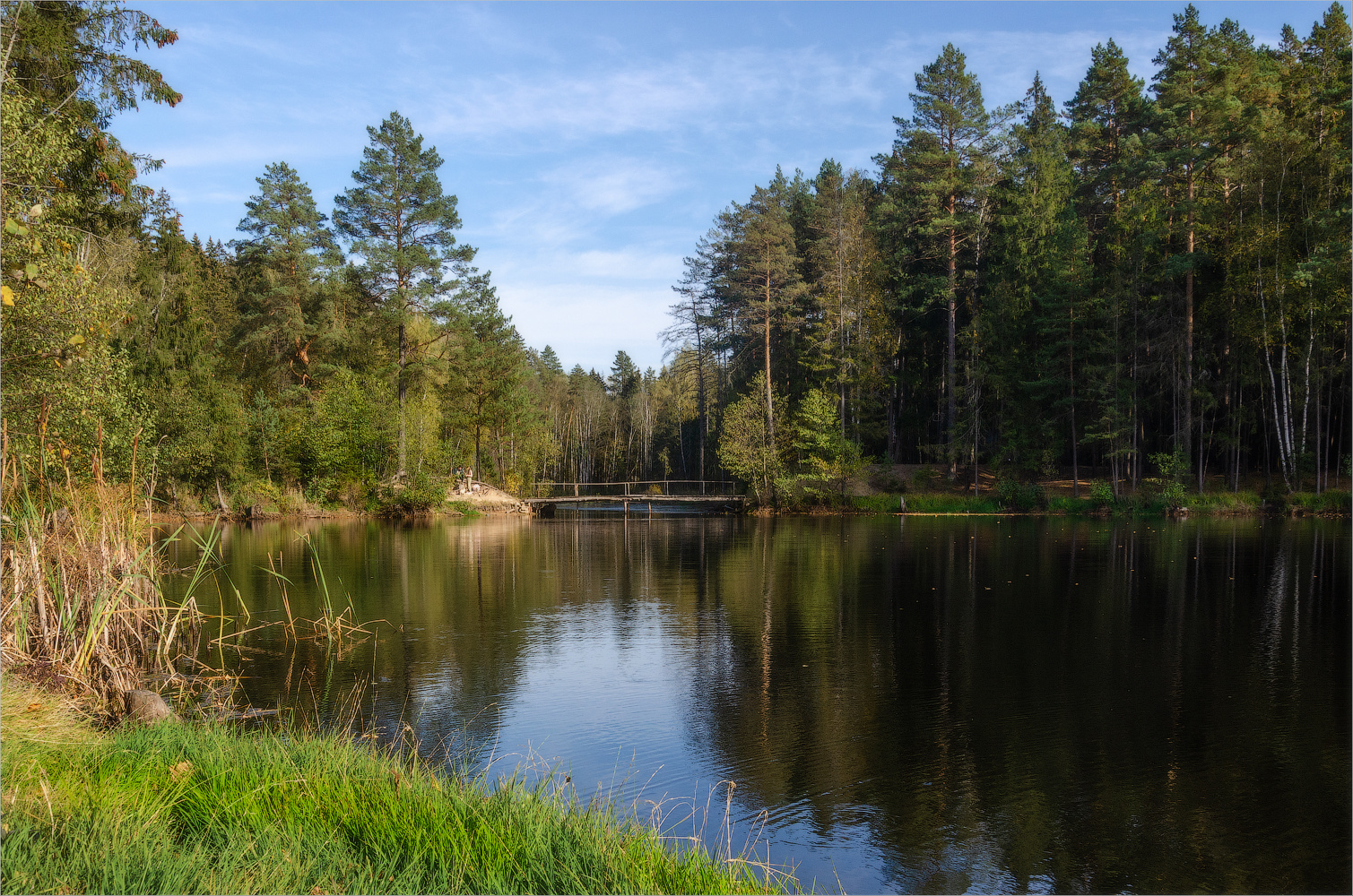 На лесном озере пейзаж осень лес озеро
