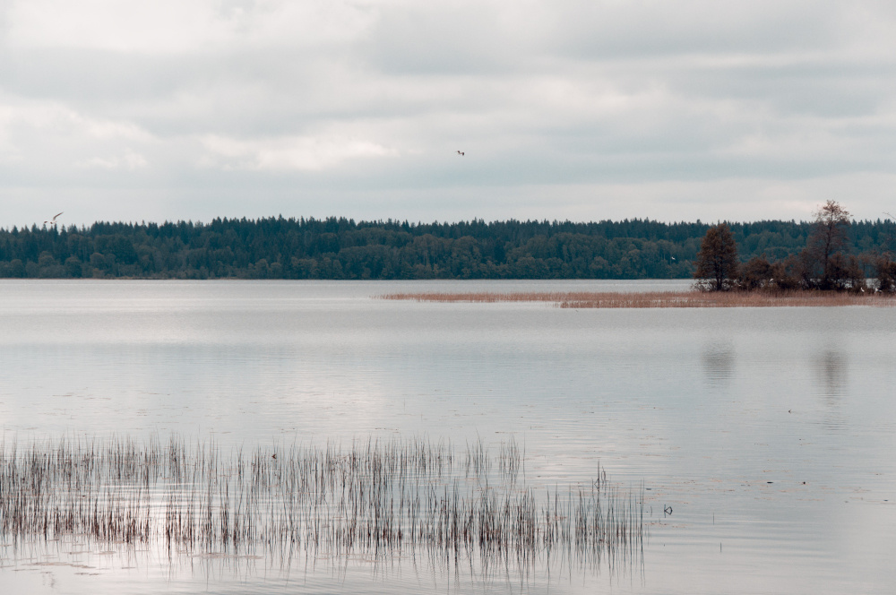 Из серии «Мёртвый сезон» Россия озеро пейзаж без людей пустота тишина природа отдых пусто грусть печаль меланхолия одиночество минимализм вода