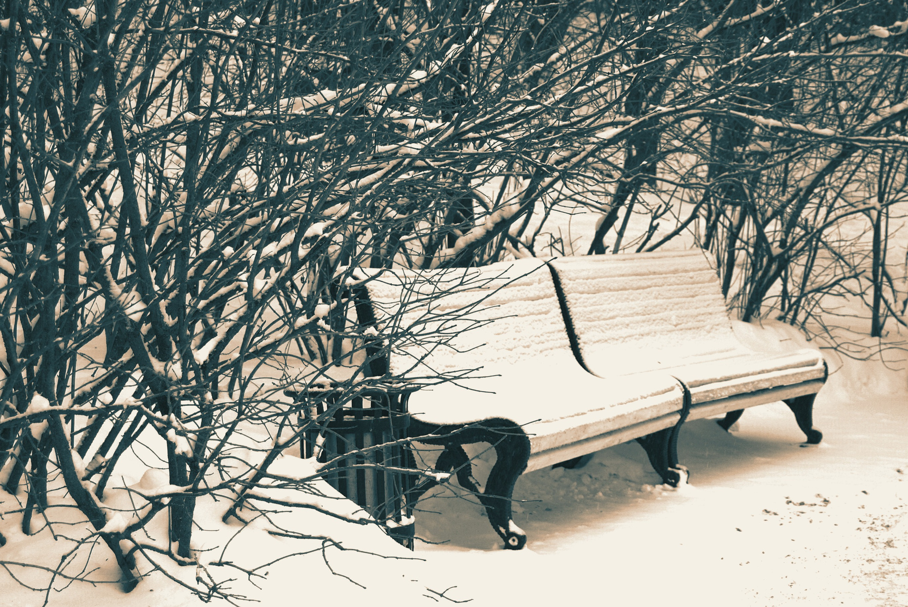 Сплетницы зима снег скамейка