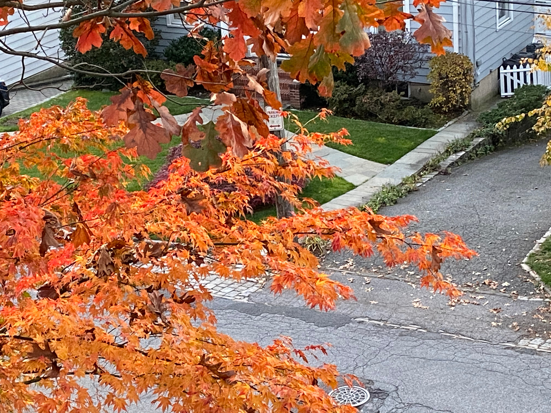 Осень за окном 
