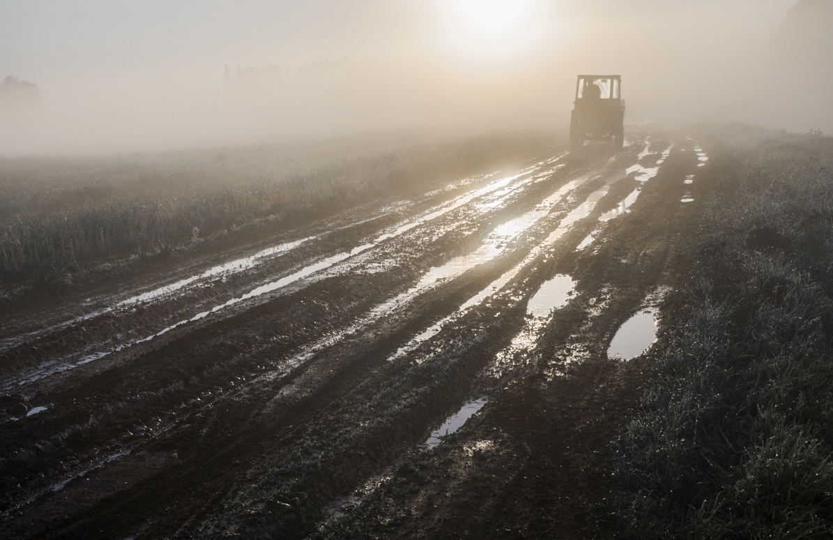 С утра пораньше Раннее летнее утро рассвет туман дорога полевая после дождя трактор солнечный свет